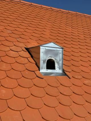 bagolybejáró közelről